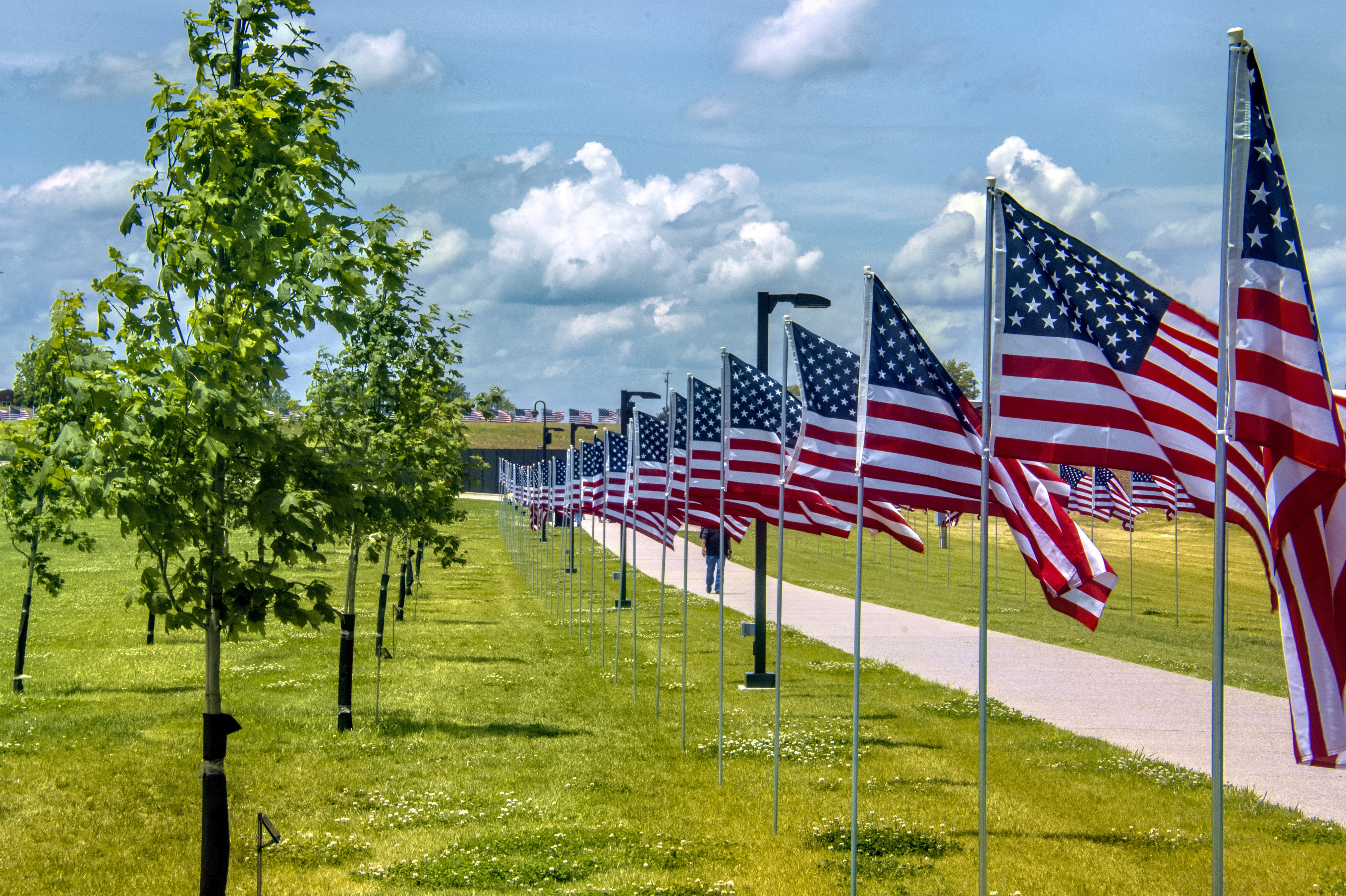 Rows of USA flags on a lawn representing support and community for veterans in process group therapy