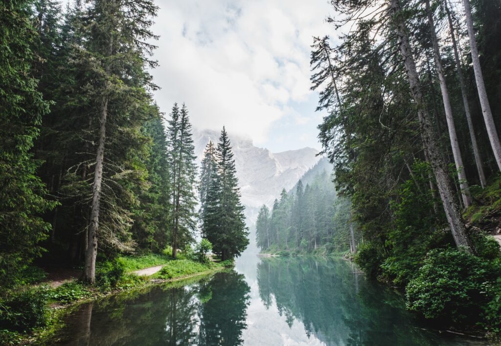 A calm lake reflects a dense forest with a foggy mountain in the background, symbolizing self-reflection, clarity, and the journey of psychological assessment.