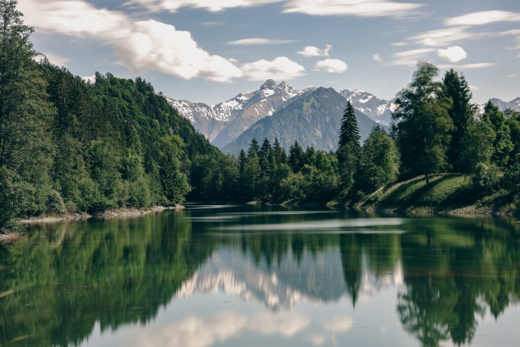 calm lake reflects a dense forest with a foggy mountain in the background, symbolizing self-reflection, clarity, and the journey of psychological assessment.