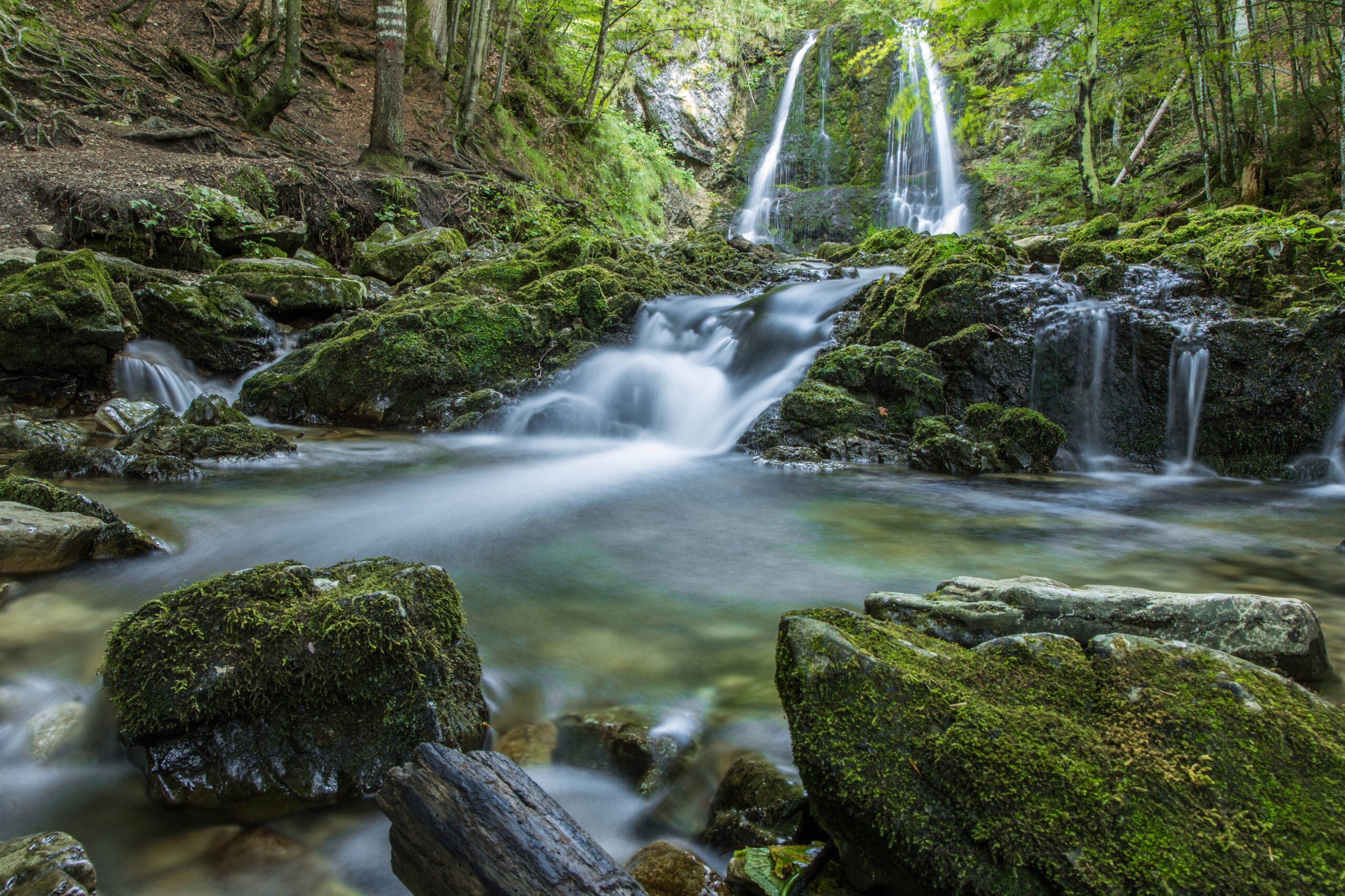 Peaceful mountain waterfall surrounded by nature, symbolizing healing, renewal, and growth in therapy